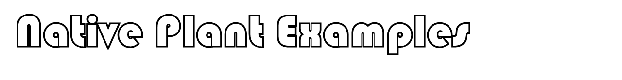 Awkward Ceramic Introduction to examples of native used in native plant plates